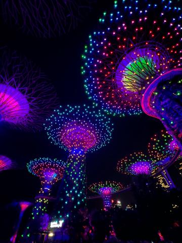 Supertree Grove illuminated at night